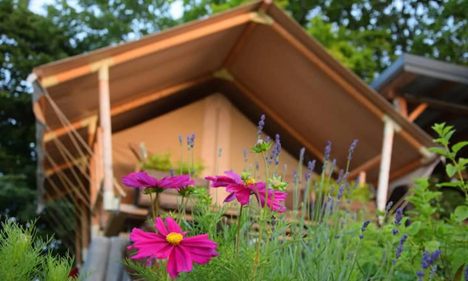 Luxury Camping Tent Hotel Ljubljana Slovenia